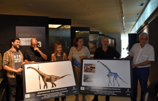 El MUPA presenta a Qunkasaura pintiquiniestra, una nueva especie de dinosaurio saurópodo que vivió en Cuenca hace 75 millones de años