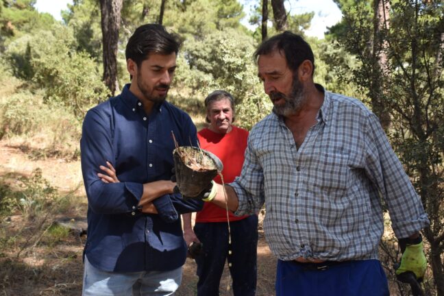 La Diputación de Cuenca incrementa las ayudas para los resineros en un 80% hasta llegar a los 1.796 euros por beneficiario