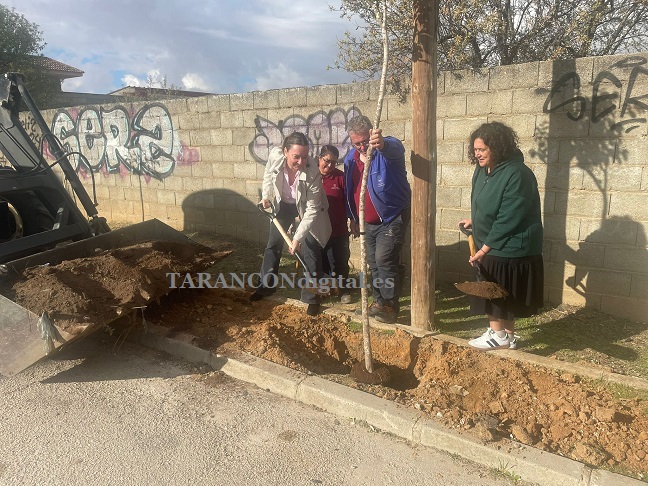 El Ayuntamiento de Tarancón celebra el día contra el cambio climático con una plantación de árboles en la Avda. Reina Sofía y otras acciones