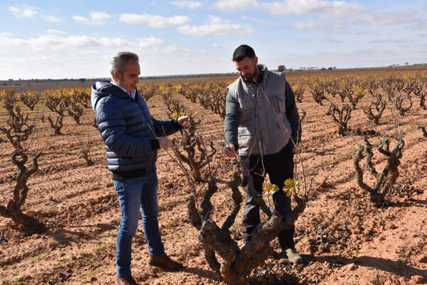 El Gobierno regional ha ayudado a cerca de 800 jóvenes agricultores de la provincia de Cuenca a incorporarse al campo desde 2015