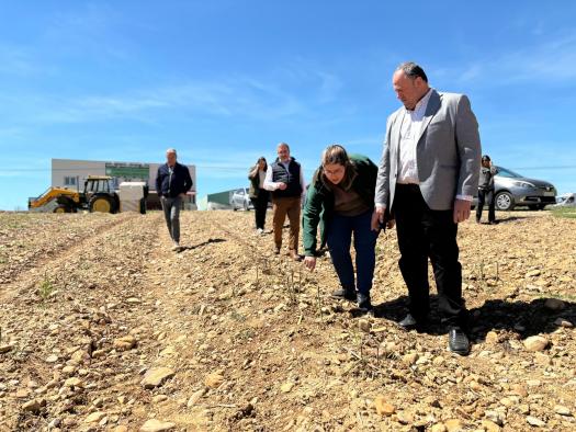 Publicadas las órdenes de ayuda a la incorporación de jóvenes y mejora de sus explotaciones con un montante de 85 millones