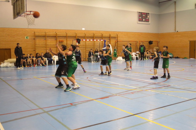 El Torrejón B Academy, vencedor del XIII Trofeo de Baloncesto Alevin (Minibasket), Memorial Sergio Regidor Buenache, disputado en Tarancón