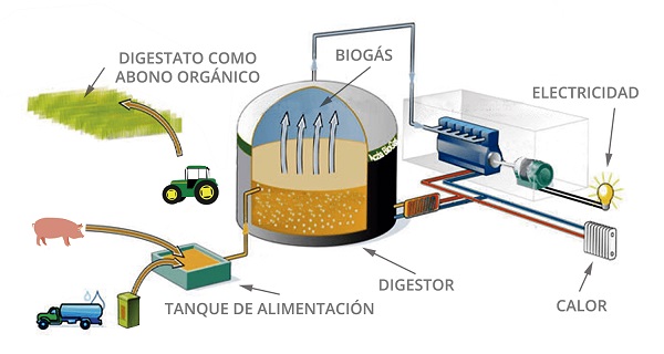 El Biogás: Cuando el relato se vuelve abrumador