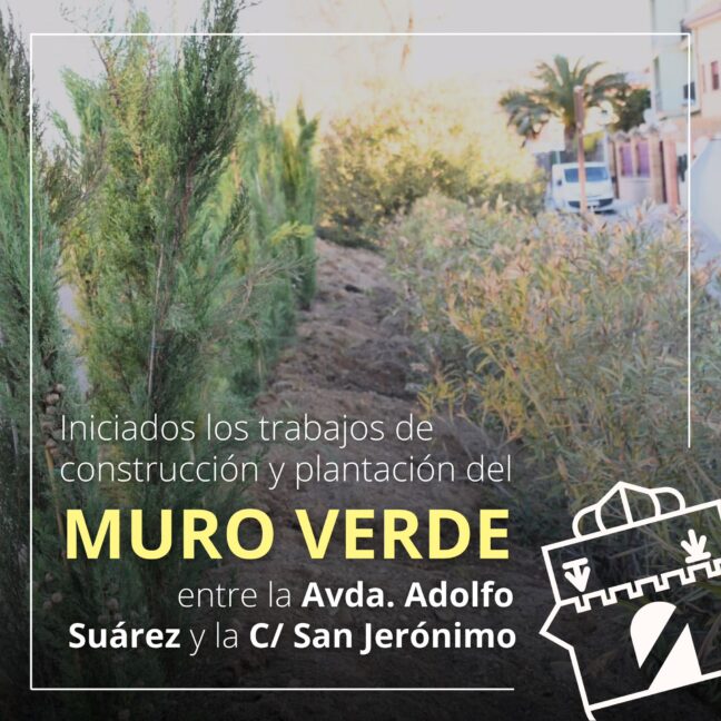Comienzan los trabajos para la instalación de un muro verde en Tarancón.