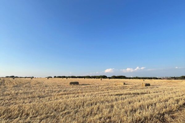 Prieto, presidente del PP de Cuenca, pone a los agricultores de Fuentelespino de Haro un impuesto especial de 513.000 euros
