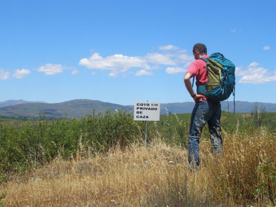 Declarado ilegal el reglamento de caza de Castilla La Mancha aprobado por el gobierno regional en connivencia con el Lobby cinegético