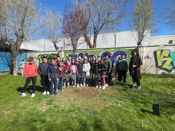 El Ayuntamiento de Tarancón planta tres nuevos olmos en el Parque de las Rejas con la participación escolar