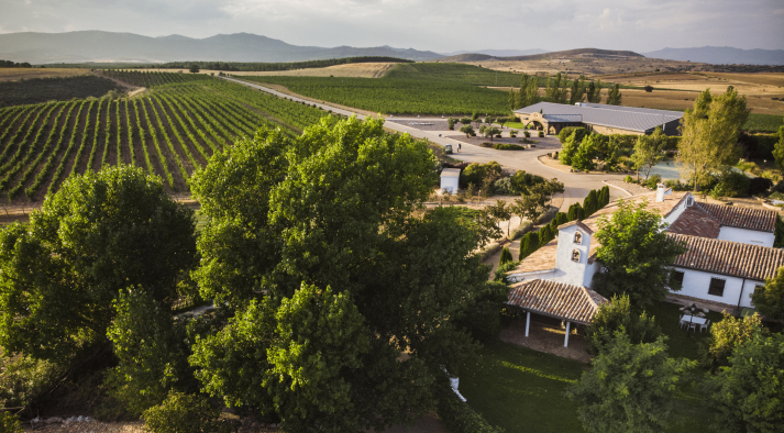Finca Río Negro, nueva Denominación de Origen vínica de Castilla-La Mancha tras su publicación hoy en el Diario Oficial de la Unión Europea