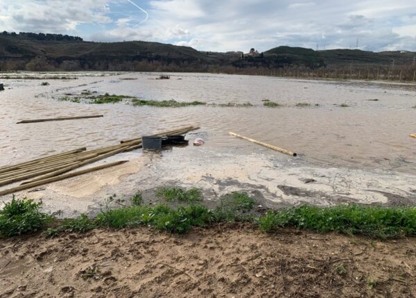 “Ni limpian ni nos dejan limpiar”, el lamento de los agricultores ante el estado de los cauces de los ríos