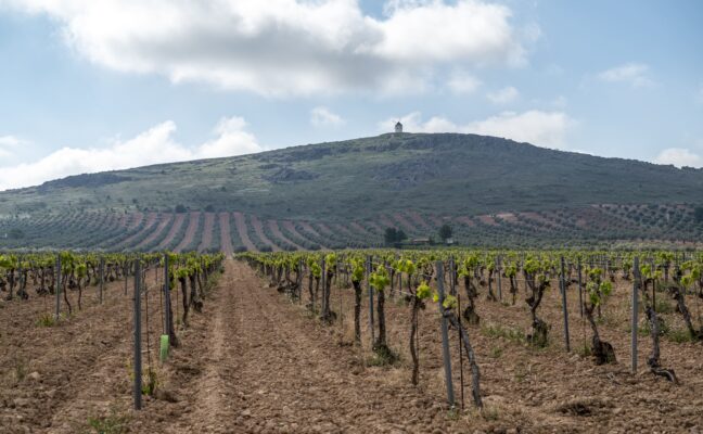 La Confederación Hidrográfica del Guadiana modifica el Régimen de Extracciones para la campaña del 2025 de las masas de agua subterránea Lillo-Quintanar, Consuegra-Villacañas y Campo de Montiel