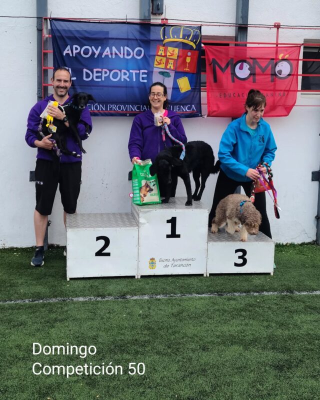 Tarancón acogió el fin de semana una prueba de la liga y campeonato de Castilla la Mancha de Agility, puntuable para el Campeonato de España