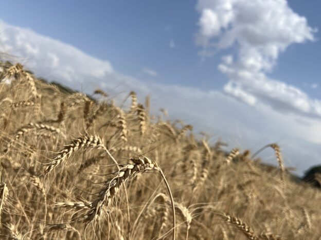 El PSOE de Cuenca valora de forma muy positiva el aumento de exportaciones de productos conquenses en más de un 13%