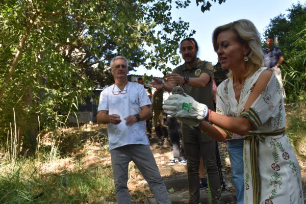 La Junta destaca la labor del Centro de Recuperación de la Fauna Silvestre de Cuenca en la atención y liberación de especies protegidas