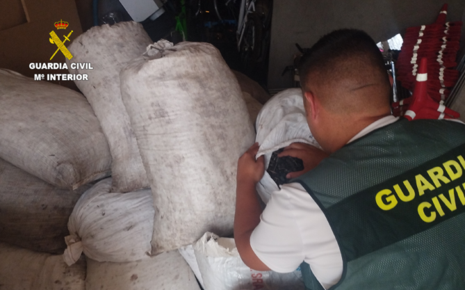 La Guardia Civil recupera cerca de una tonelada de aceituna sustraída en Mota del Cuervo