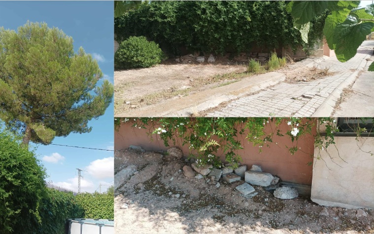 Vecinos de Villarrubio denuncian el abandono del municipio: “Vivimos entre escombros, ramas caídas y sin respuesta del Ayuntamiento”