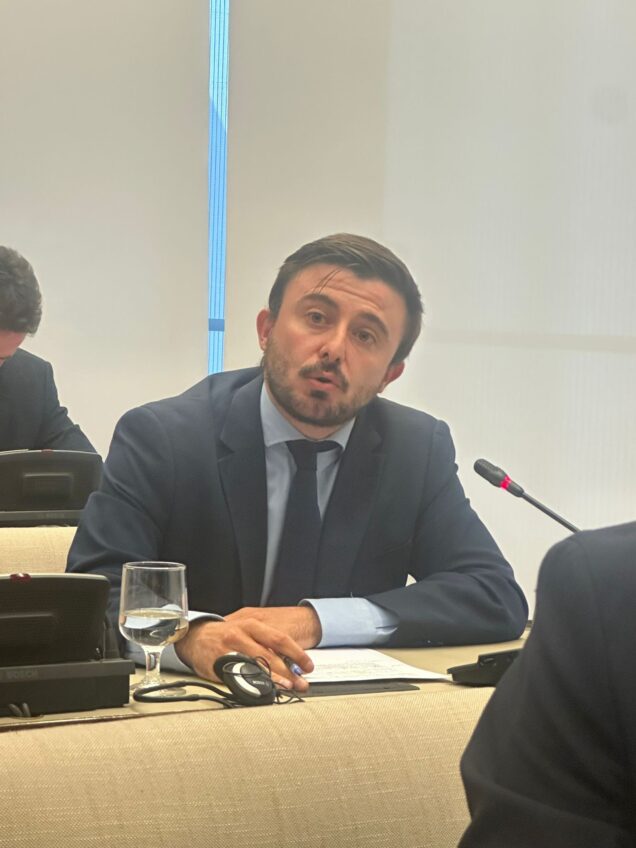 Pérez Osma alerta sobre el aumento de accidentes de tráfico en las carreteras conquenses provocados por animales y pide “medidas eficaces que realmente salven vidas”