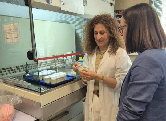 El Gobierno regional financia un proyecto de investigación para la mejora de análogos lácteos vegetales para reducir la brecha entre estos y los tradicionales