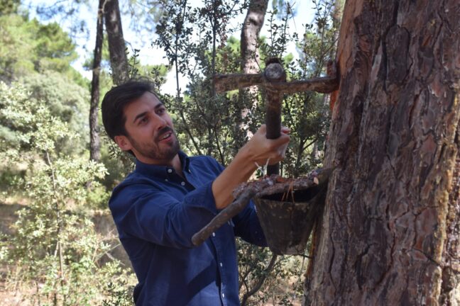 La Diputación de Cuenca apuesta por el mantenimiento del sector de la resina en la provincia con ayudas de 30.000 euros