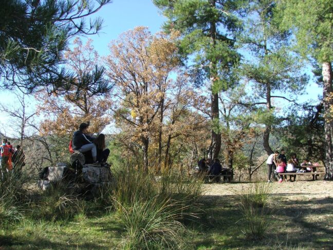 La Diputación de Cuenca destinará 33.500 euros en ayudas para proyectos de cooperación medio ambiental