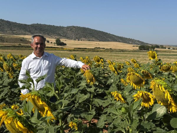 El Gobierno regional forma a más de 600 agricultores de Cuenca en el curso de girasol agroambiental de la PAC 2025