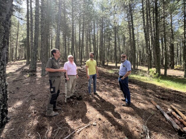 El Gobierno regional ejecuta trabajos selvícolas en más de 500 hectáreas de montes públicos de la provincia de Cuenca