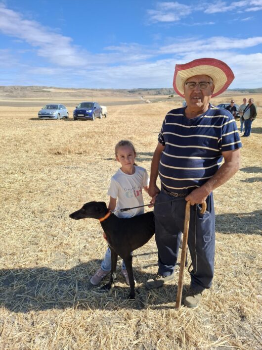“Olivia” Galga propiedad de Jaime,  campeona local de carreras en las fiestas 2025. Participaron 28 galgos en una espectacular carrera