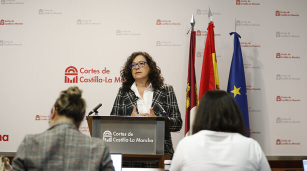 “Castilla-La Mancha tiene que crecer mejorando la oferta de empleo para jóvenes, mujeres y parados de larga duración”