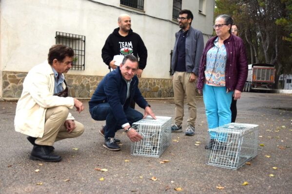 El programa de Control de Colinas Felinas está llegando a 1.300 gatos de 82 municipios con una inversión de 270.000 euros