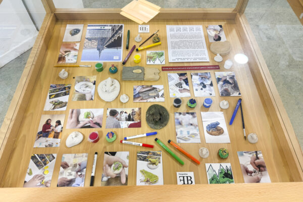 La exposición “Anfibios” llega a Ciudad Real para concienciar sobre la amenaza de estos vertebrados