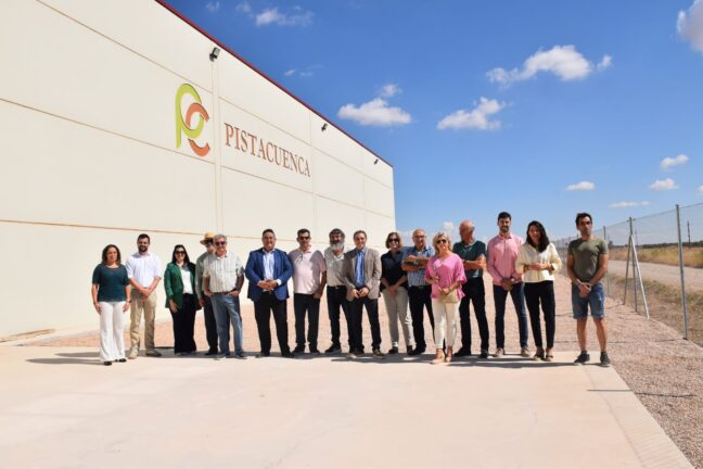 Pistacuenca espera una producción de 150 toneladas con una cosecha de pistacho que viene “mejor de lo esperado”
