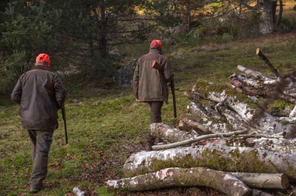 Castilla-La Mancha organiza varias jornadas para mejorar la seguridad de los cazadores y las cazadoras durante las actividades cinegéticas