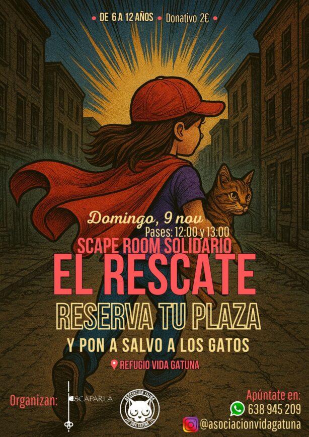 El refugio Vida Gatuna de Tarancón organiza un ‘scape room’ solidario para niños con sus gatos como protagonistas
