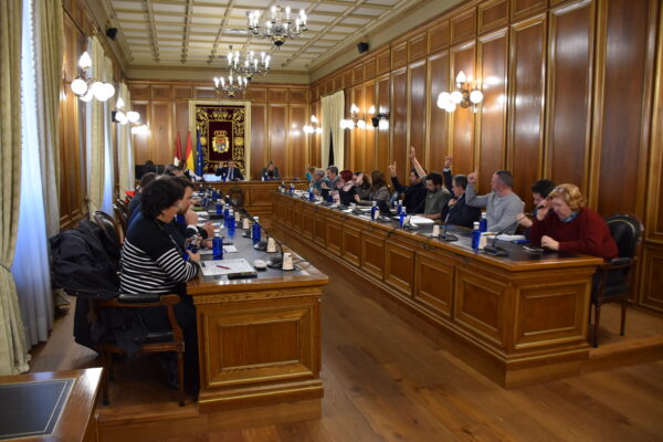 El Pleno de la Diputación realiza una declaración institucional con motivo del Día Internacional para la Eliminación de la Violencia contra la Mujer