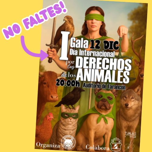Tarancón celebrará su I Semana por los Derechos de los Animales con charlas, actividades solidarias y una gala benéfica