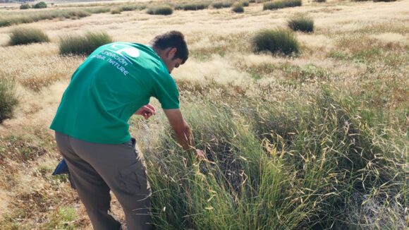 La Laguna de El Hito cierra 2025 consolidando su modelo de restauración ambiental gracias a Global Natura y Diputación