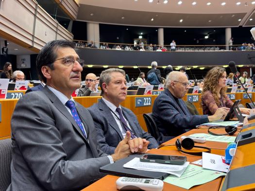 Castilla-La Mancha pide en Europa que se garantice a las regiones productoras de energía limpia desarrollo económico, suministro estable y un precio asequible para la ciudadanía