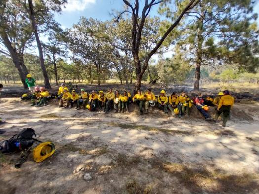 El Gobierno regional apuesta por el liderazgo femenino organizando y acogiendo el ‘Wtrex Quijota’, el primer programa de formación en incendios forestales celebrado en España