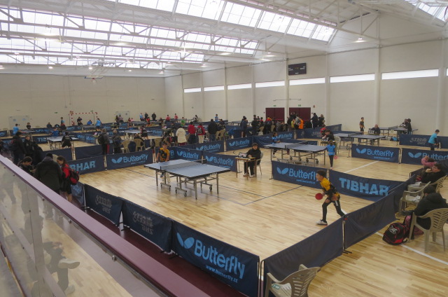 En tenis de Mesa, Canalones Tarancon TM, viaja a Palán (Toledo) para afrontar la decimo tercer jornada del grupo VII de Segunda División Nacional