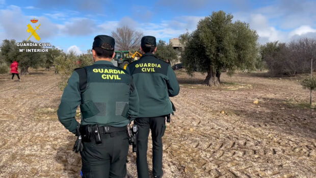 La Comandancia de la Guardia Civil de Toledo pone en marcha un dispositivo de prevención y control durante la campaña de recolección de aceituna 2025/2026