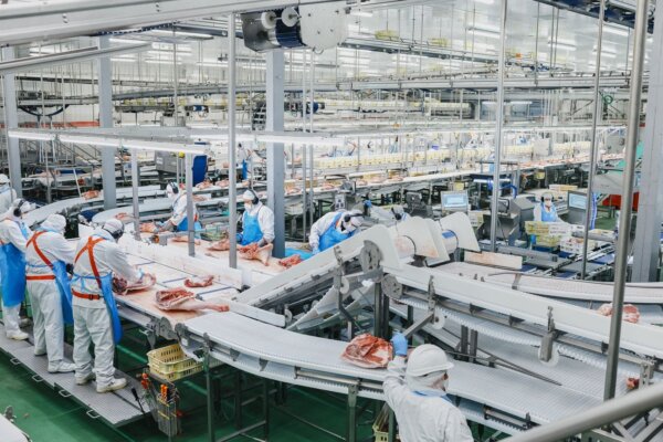 Incarlopsa registra una cifra de negocio de 1.263 millones en 2025 y mejora su EBITDA un 11%