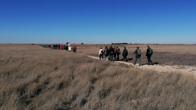 VI edición de Humedales de la Mancha centro del programa Caminos del Agua