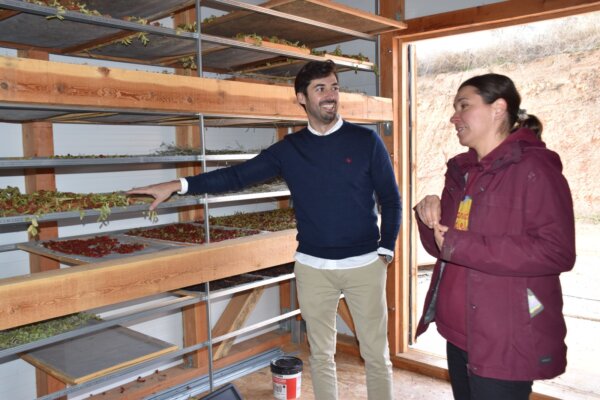 Los municipios conquenses con menos de 5.000 habitantes han crecido en 1.390 personas desde el año 2019