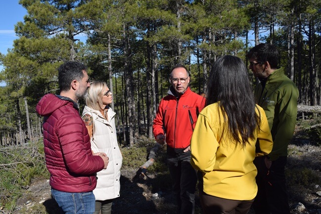 El Gobierno regional invierte 9 millones de euros en tratamientos silvícolas para prevenir incendios forestales en la provincia para Cuenca