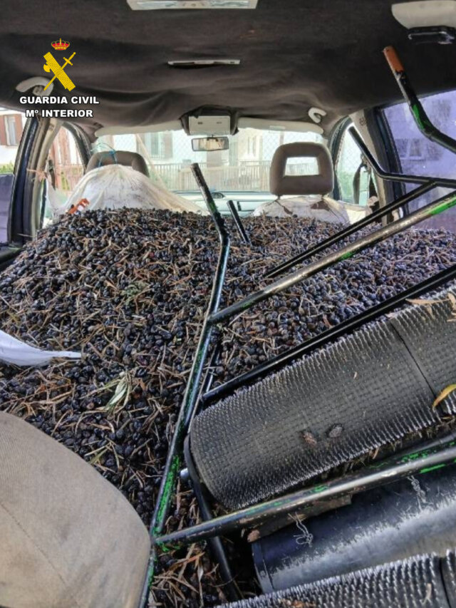 La Guardia Civil detiene a tres personas porel hurto de aceitunas en Val de SantoDomingo (Toledo)