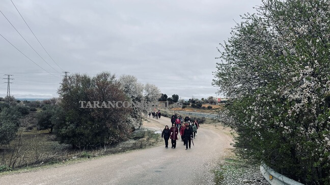 Cerca de un centenar de personas participan en la ruta “Tarancón camina por la igualdad”