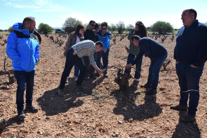 La Diputación adelantará el 75% de la ayuda para el control de la población de conejos a la que se destinan 500.000 euros  