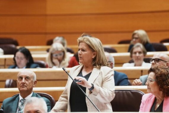 Bonilla denuncia en el Senado que Marlaska impone una baliza V16 “sin garantías, sin transparencia y sin avisar a Europa”