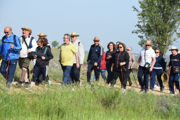 El servicio de Tu comida en casa de la Diputación reparte más de 1.500 comidas en el primer trimestre en la zona de Tarancón  