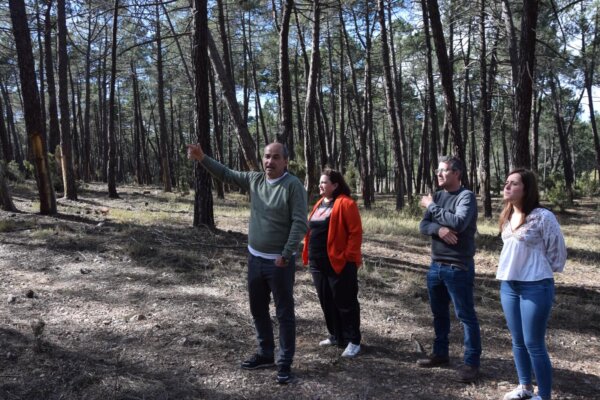 La Diputación invierte más de 234.000 euros para reducir el riesgo de incendios a través del PSTD del Valle del Cabriel  