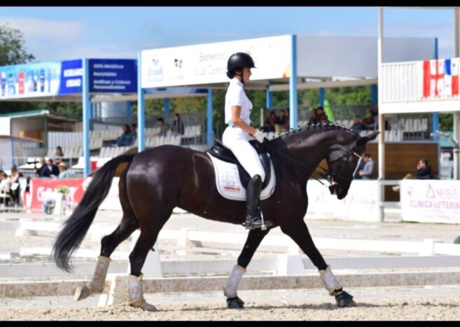 La amazona Alejandra Navarro García, primero y segundo puesto en el Concurso Copa Ancce de Domas Clásica en Camarma (Madrid)